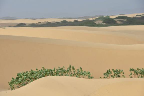 A paisagem desértica dos Médanos de Coro, na entrada da península de Paraguaná, no noroeste da Venezuela